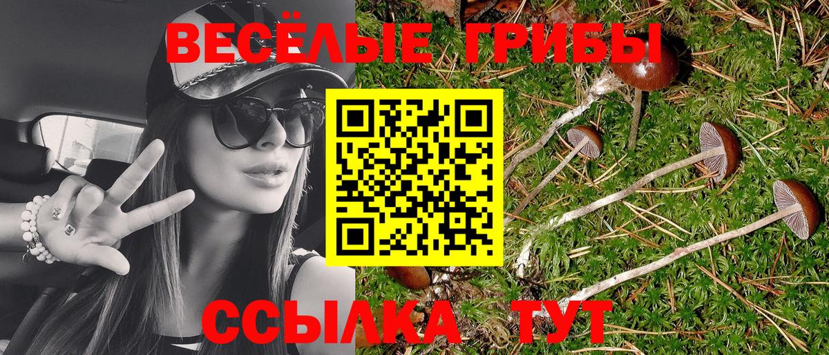 Псилоцибиновые грибы мухоморы Астрахань
